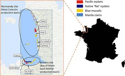 Participatory Qualitative Modeling to Assess the Sustainability of a Coastal Socio-Ecological System